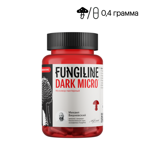 Dark Micro