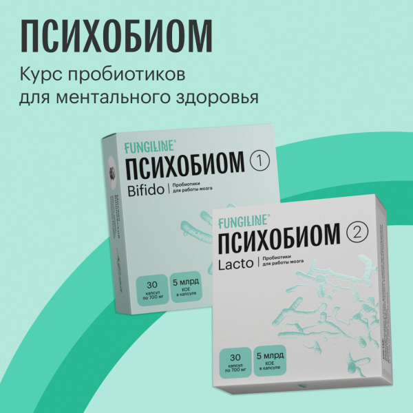 Грибное пространство Михаила Вишневского