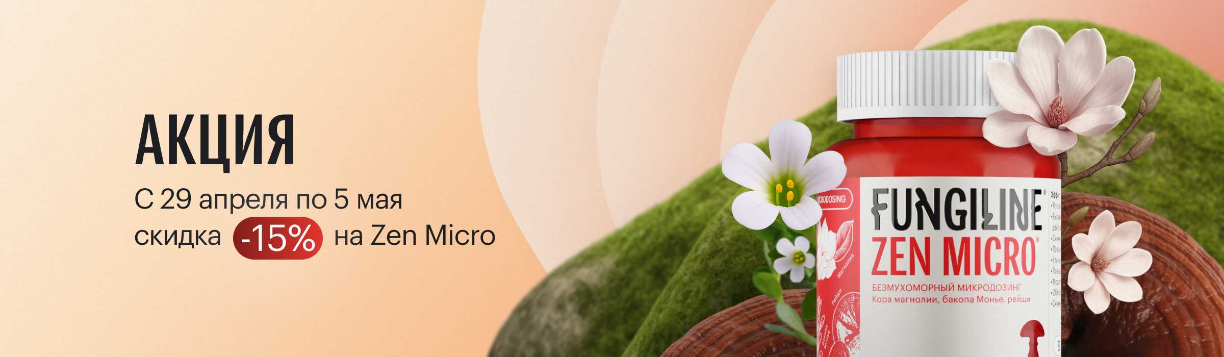 Распродажа Zen Micro