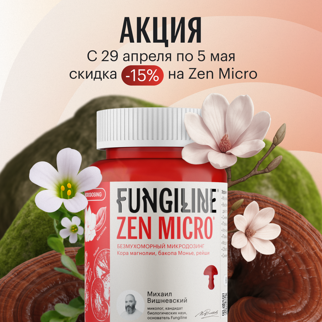 Распродажа Zen Micro