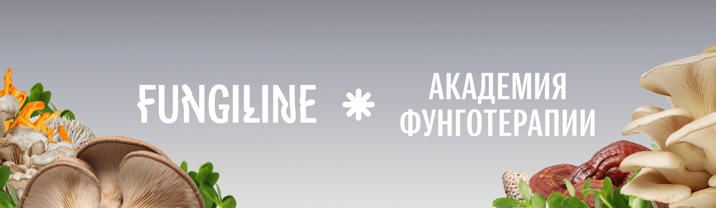 Фунго-академия