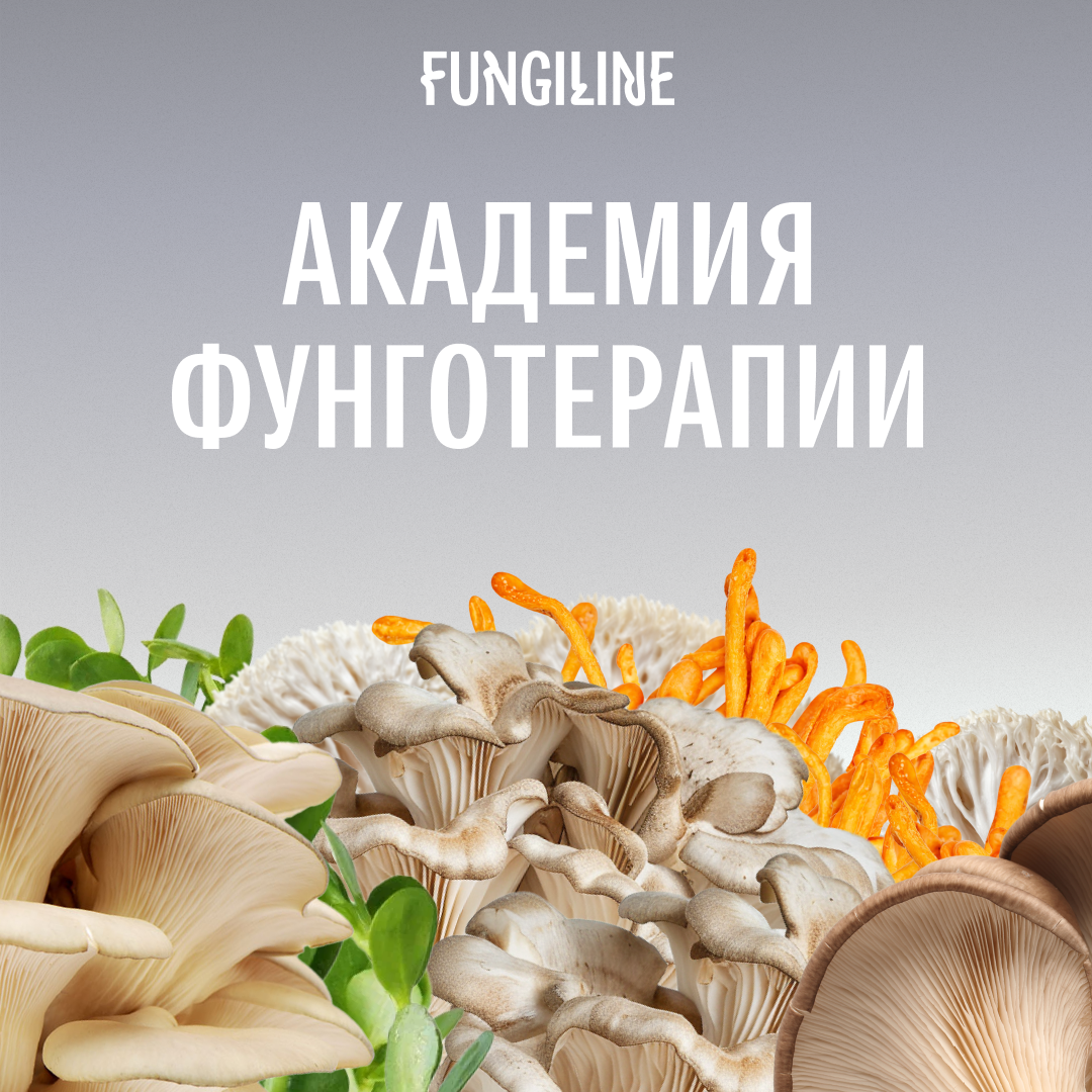 Фунго-академия